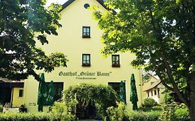 Hotel-Landgasthof Gruener Baum - Dittigheim